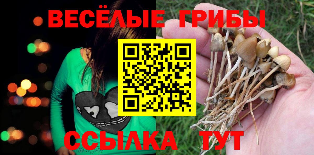 наркота  Галлюциногенные грибы ЛСД  Вход с VPN  Туапсе  Галлюциногенные грибы ЛСД 