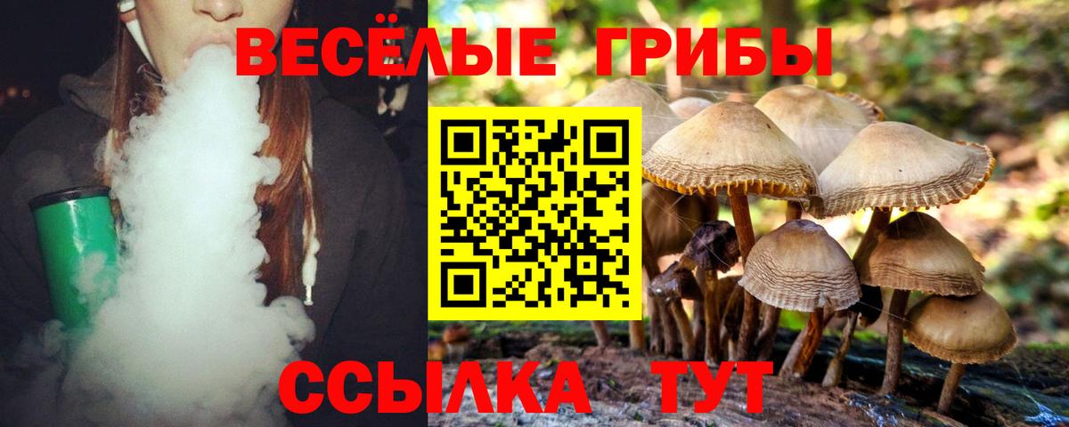 Галлюциногенные грибы мицелий Туапсе